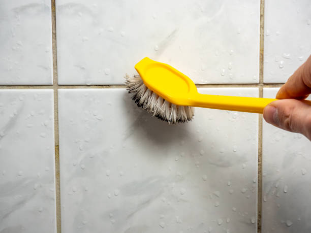 Best Office Mold Removal Services  in Texas City, TX