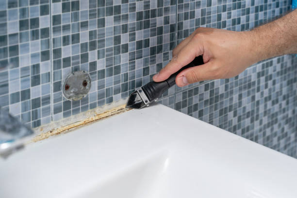 Best Commercial Mold Removal  in Texas City, TX